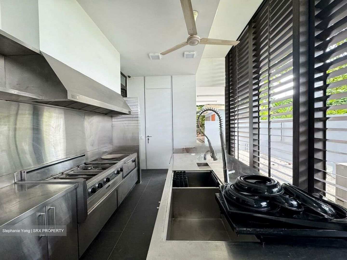 Leedon Park (D10), Detached #594132421